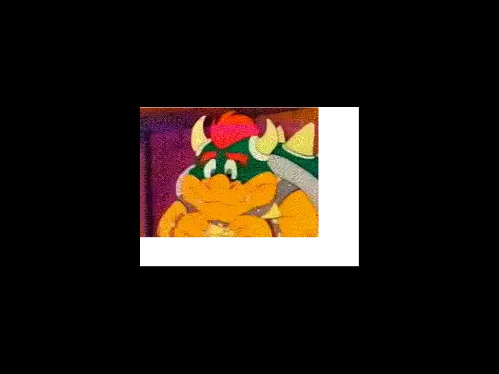 bowser1