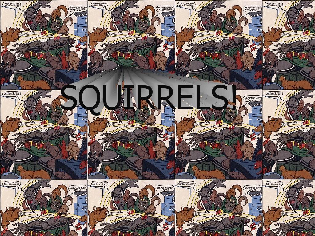 doomsquirrels