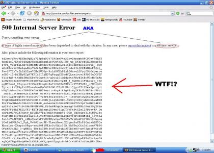 Highly Trained YouTube Monkeys