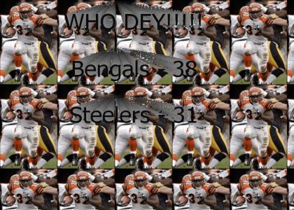 Bengal's vs. Steelers (new)