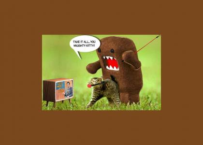 Domo-kun: Closet Cat-Lover