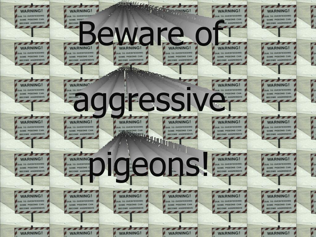 aggressivepigeons