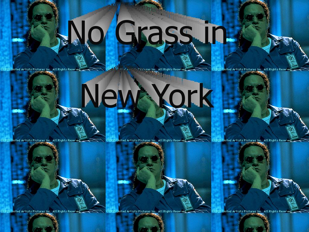 nograssinnewyork