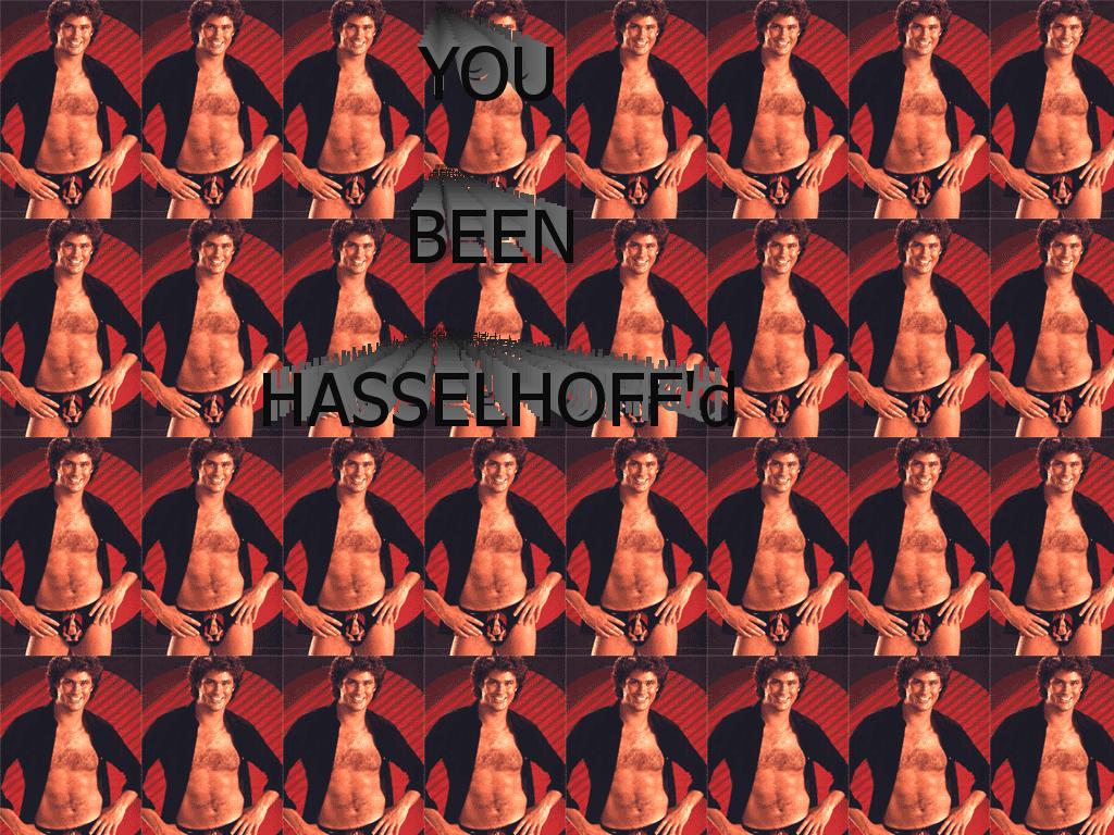 youbeenhasselhoffd