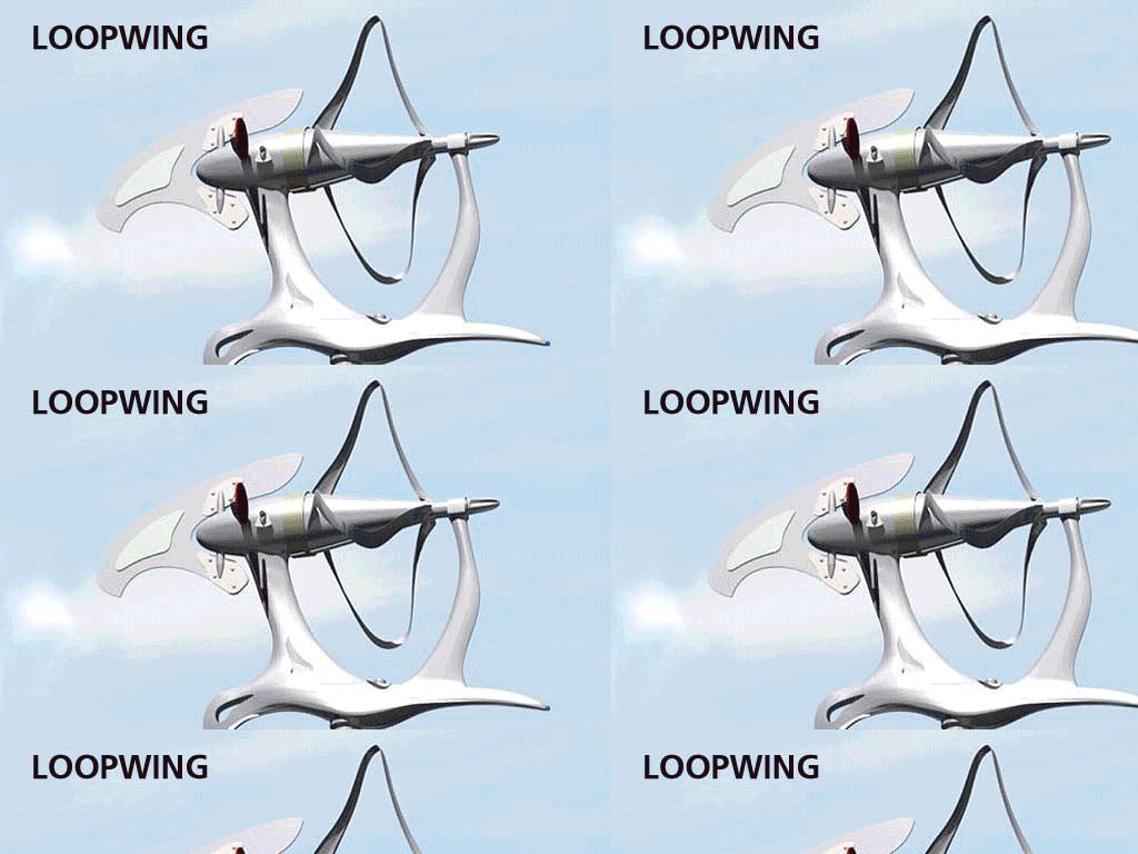 loopwing