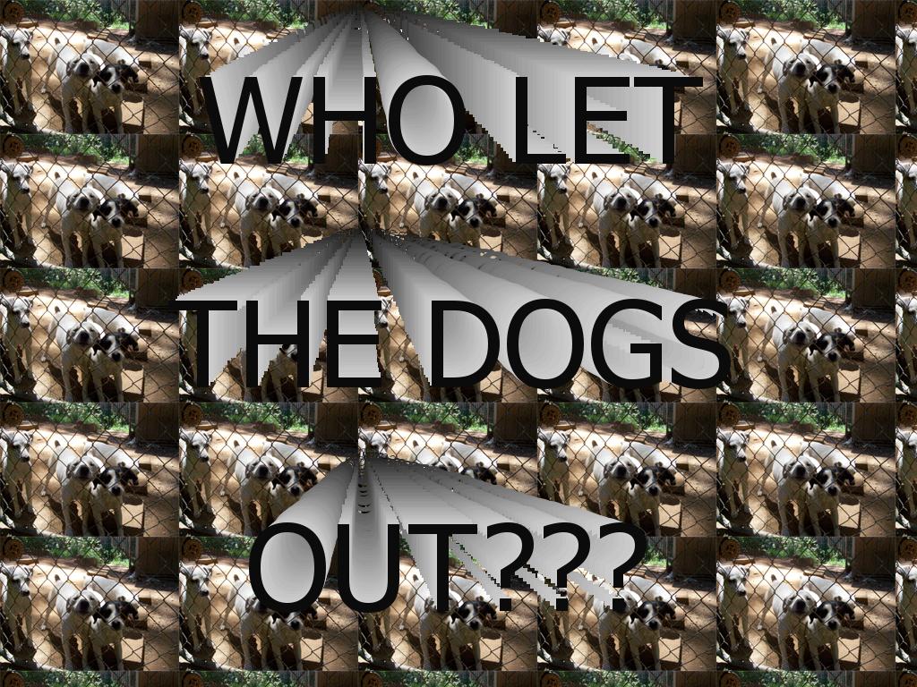 wholetthedogzout