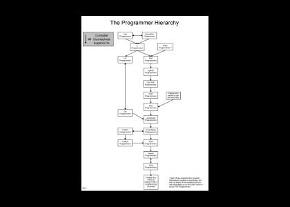 Programmer Hierarchy