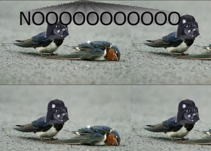 Vaderbird