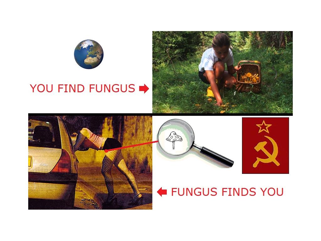 russianfungus