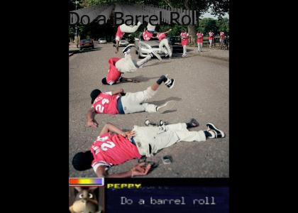 Do a Barrel Roll Think Poster