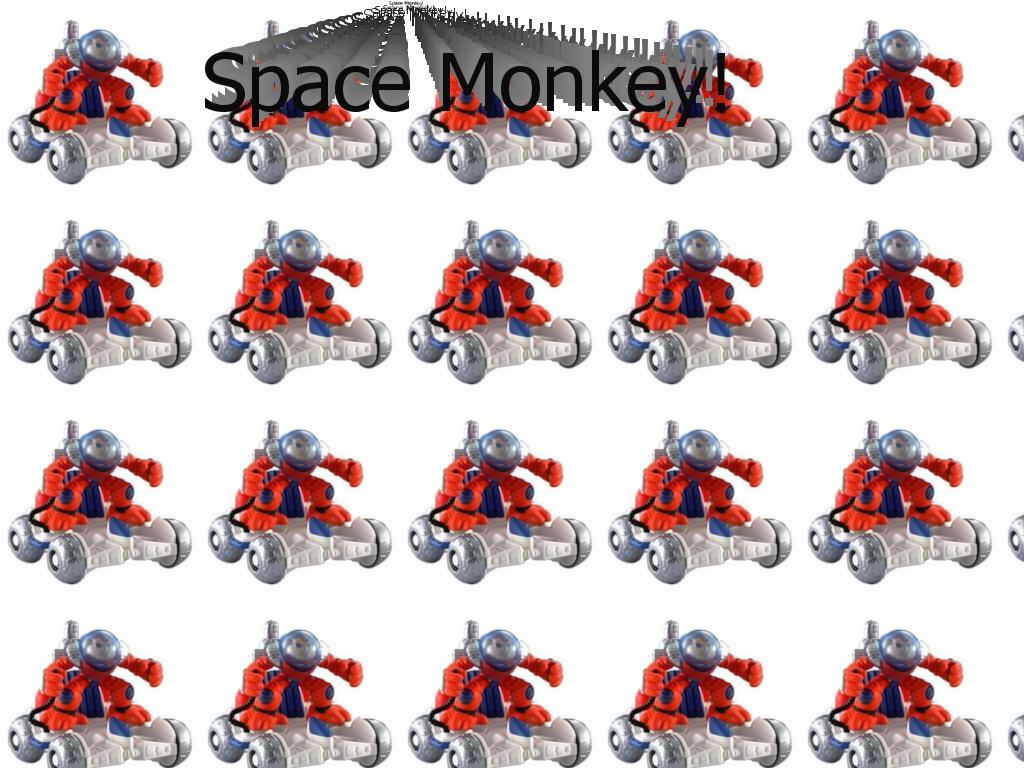 spacemonkey