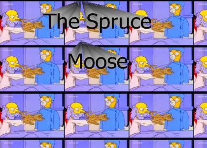 Take the Spruce Moose!