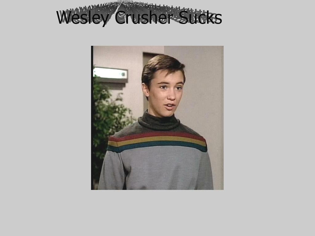 wesleysucks