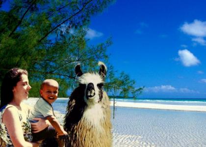 Obama on a Llama with his Mama in the Bahamas