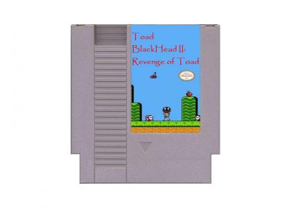 YTMND NES: Toad Blackhead 2