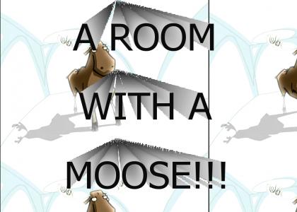 A ROOM WITH A MOOSE!