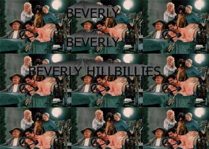 BEVERLY HILLBILLIES
