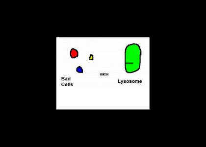 Lysosomes: Clip For Science