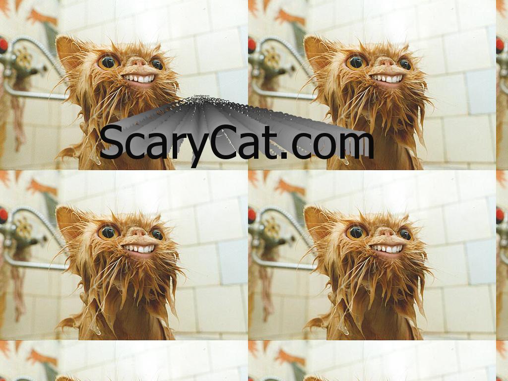 scarycat