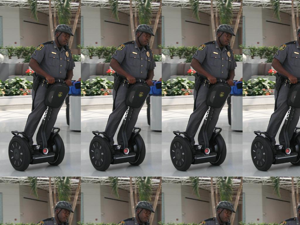 niggastolemysegway