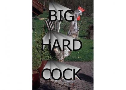 Big Hard Cock