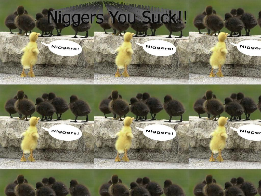 niggerduckman