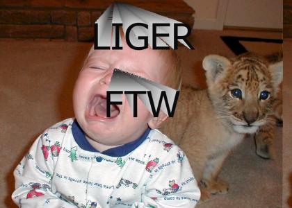 LIGER PWN