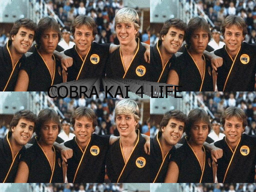 cobrakaiboys