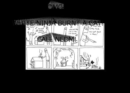 WHITE NINJA BURNS CATS!