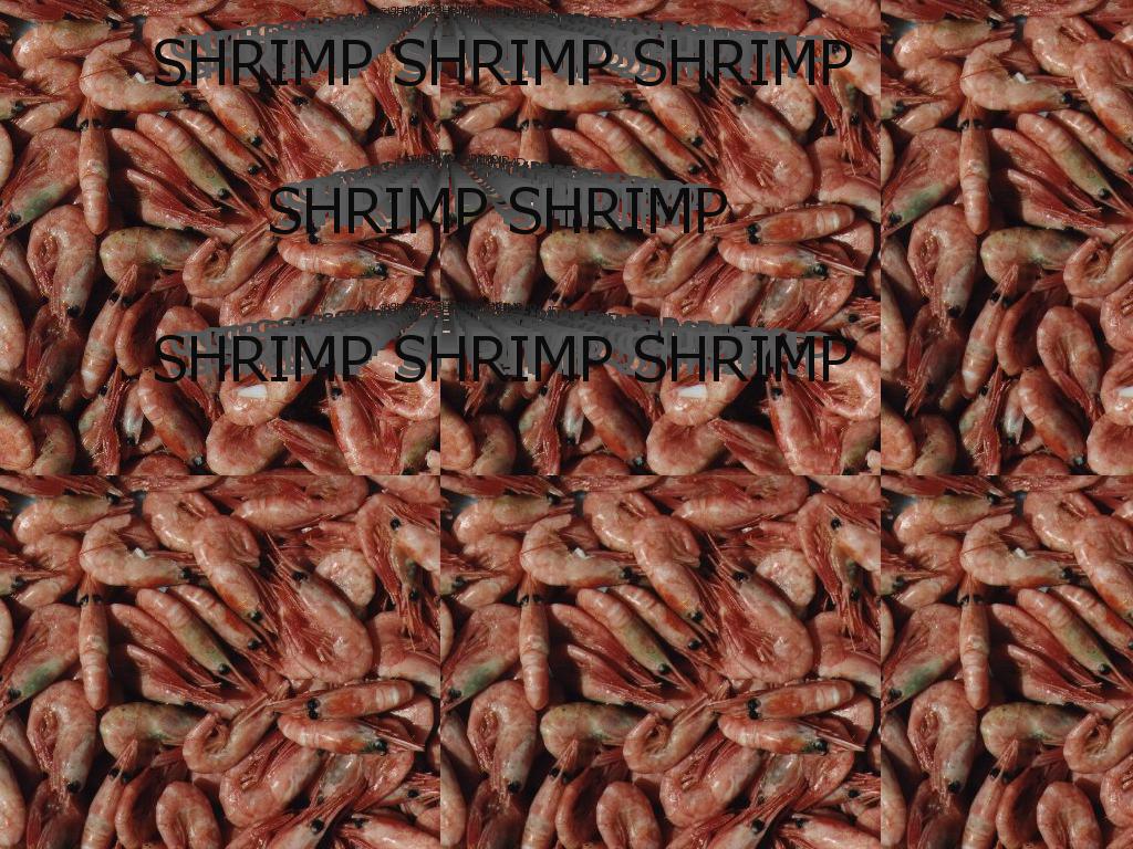 shrimpisthefoodofthesea