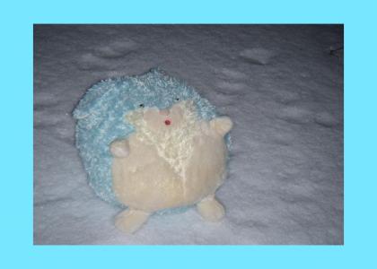 Doctor Squiblles Loves the Snow!
