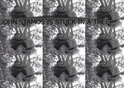 JOHN STAMOS IS STUCK IN A TREE