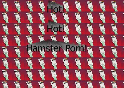 Hot! Hot! Hamsters!
