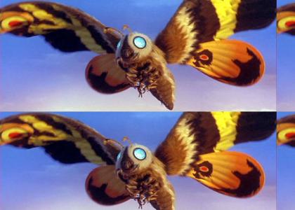 Don't Stop Mothra Now