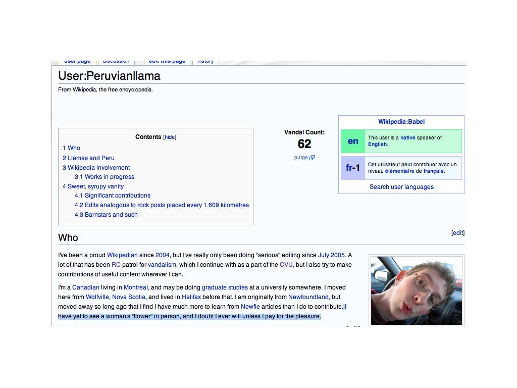 wikipediaisrunbyvirgins