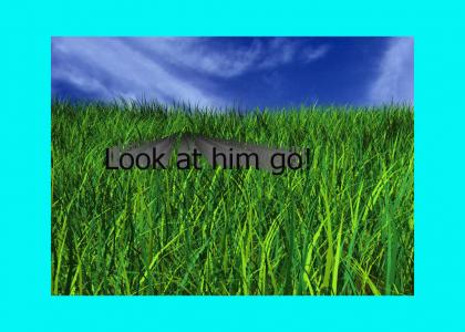 A Caterpillar Moving Across Grass to the Intro of When I'm Sixty-Four with Text which Reads: "Look at him go!"