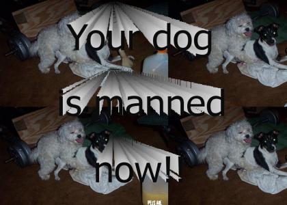 Your dog is manned now!