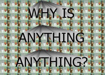 Why is anything anything?