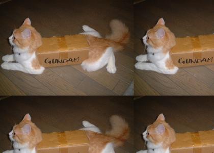 Gundam CAT!!!