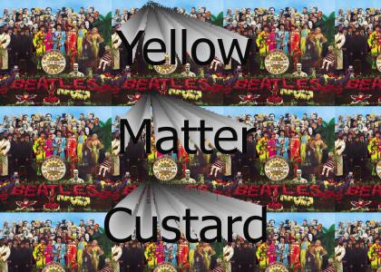 Yellow Matter Custard