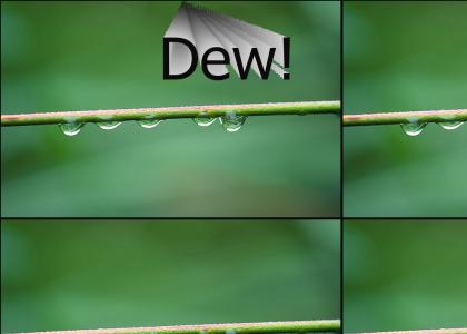 Dew Dew (hast)