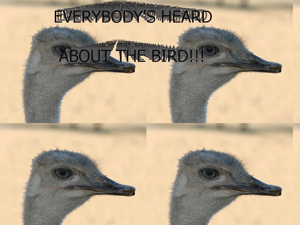 birdistheword