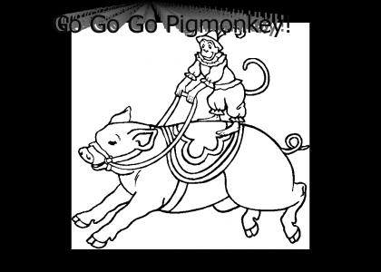 Go Go Go pigmonkey!