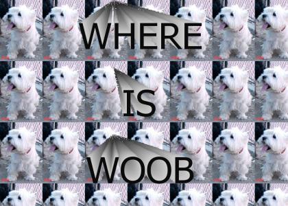 WHERE IS WOOB