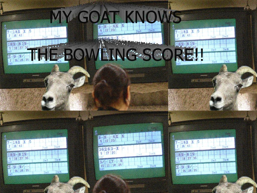 mygoatbowlingscore