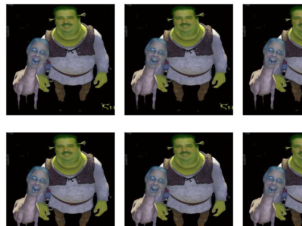 ShrekRico