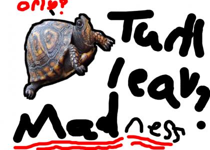 TuRtLeS Leave nao?