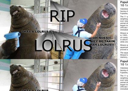 RIP LOLRUS
