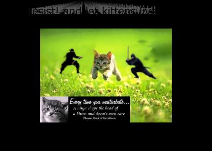ninja-kitten-killers