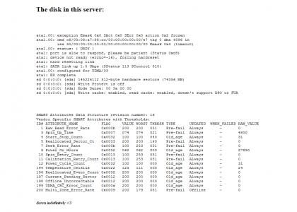 ytmnd wiki down indefinitely